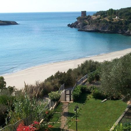 Mediterraneo Residence Marina di Camerota Eksteriør bilde